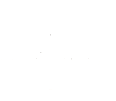 _images/autogluon-s.png
